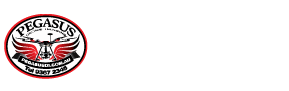 Pegasus Drone Imaging is skyward !