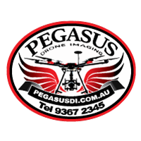 logo-WHI-Pegasus-200